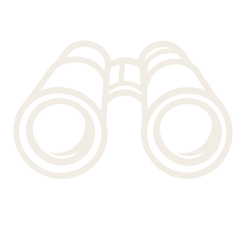 Binoculars icon